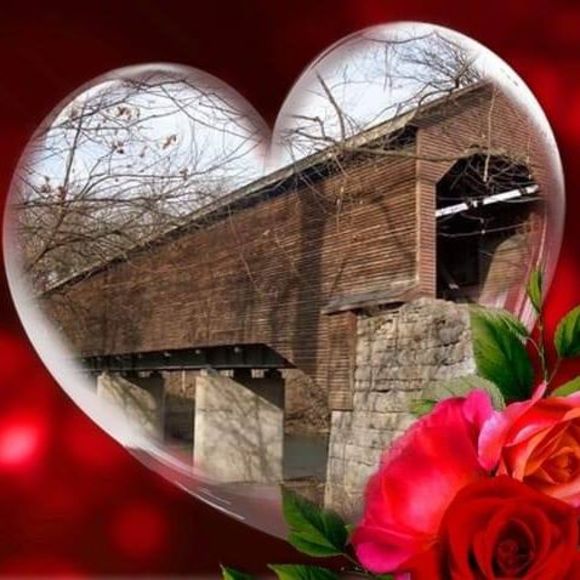 Meet your Posher, Amy - Picture 1 of 1